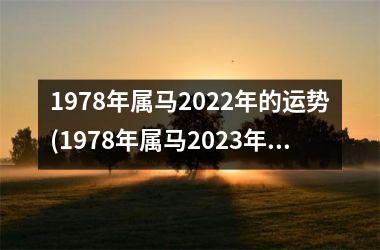 1978年属马2025年的运势(1978年属马2025年运势及运程每月运程)