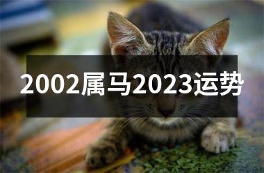 2002属马2025运势