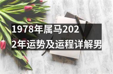 1978年属马2025年运势及运程详解男