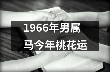 1966年男属马今年桃花运