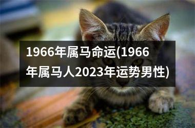 1966年属马命运(1966年属马人2025年运势男性)