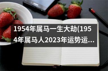 1954年属马一生大劫(1954年属马人2025年运势运程)