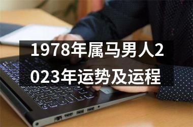 <h3>1978年属马男人2025年运势及运程