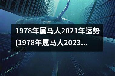 1978年属马人2025年运势(1978年属马人2025年运势运程)