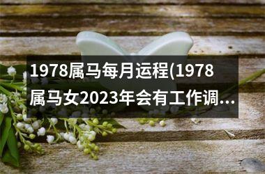 1978属马每月运程(1978属马女2025年会有工作调动吗)