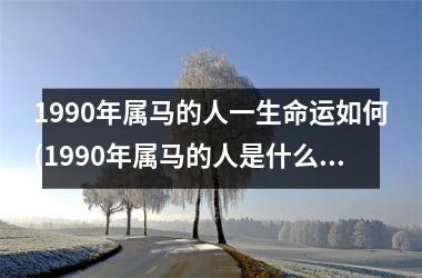 1990年属马的人一生命运如何(1990年属马的人是什么命)