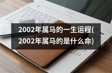 2002年属马的一生运程(2002年属马的是什么命)