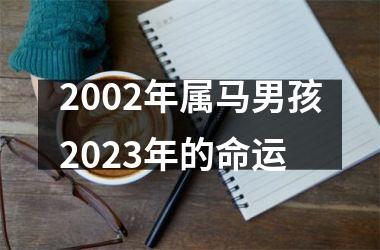 2002年属马男孩2025年的命运