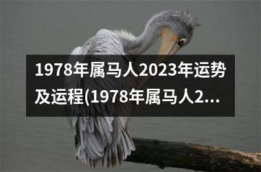 1978年属马人2025年运势及运程(1978年属马人2025年运势及运程每月运程)