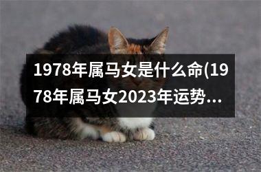 1978年属马女是什么命(1978年属马女2025年运势完整版)