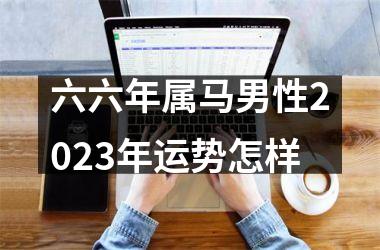 六六年属马男性2025年运势怎样