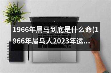 1966年属马到底是什么命(1966年属马人2025年运势男性)