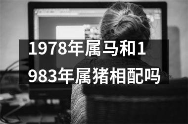 1978年属马和1983年属猪相配吗