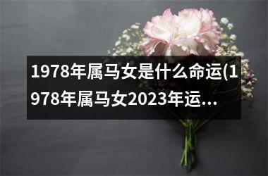 1978年属马女是什么命运(1978年属马女2025年运势完整版)