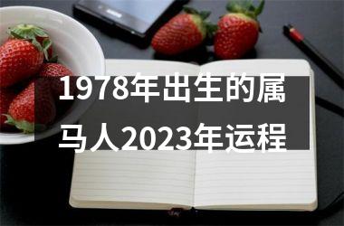 1978年出生的属马人2025年运程