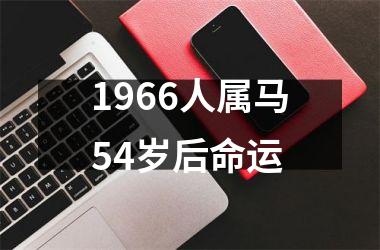 1966人属马54岁后命运