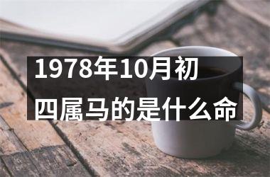 1978年10月初四属马的是什么命