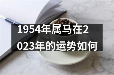 1954年属马在2025年的运势如何