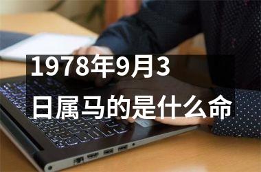 1978年9月3日属马的是什么命