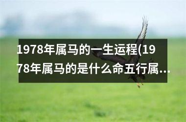 1978年属马的一生运程(1978年属马的是什么命五行属什么)