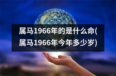 属马1966年的是什么命(属马1966年今年多少岁)