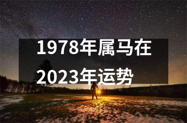 1978年属马在2025年运势