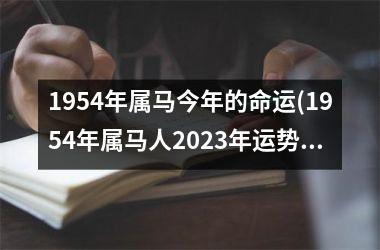 1954年属马今年的命运(1954年属马人2025年运势运程)