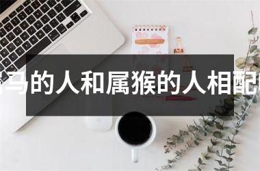 属马的人和属猴的人相配吗