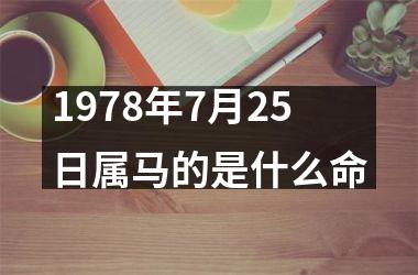 1978年7月25日属马的是什么命