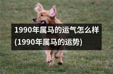 1990年属马的运气怎么样(1990年属马的运势)