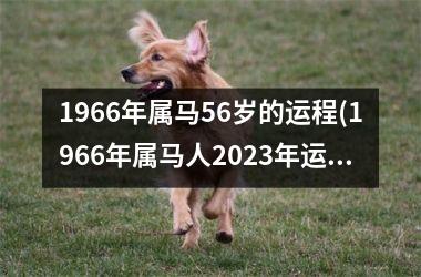 1966年属马56岁的运程(1966年属马人2025年运势男性)