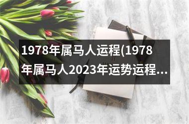 1978年属马人运程(1978年属马人2025年运势运程)