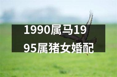 1990属马1995属猪女婚配