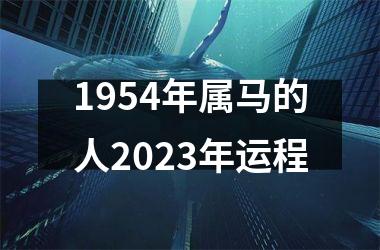 1954年属马的人2025年运程