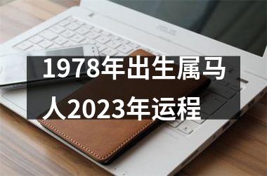 1978年出生属马人2025年运程