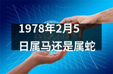 1978年2月5日属马还是属蛇