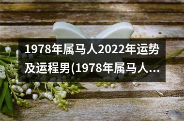 1978年属马人2025年运势及运程男(1978年属马人2025年运势及运程每月运程)