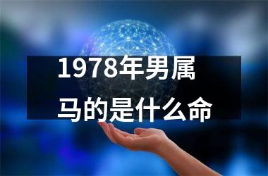 1978年男属马的是什么命