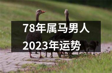 78年属马男人2025年运势