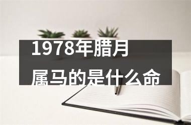 <h3>1978年腊月属马的是什么命