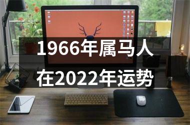 1966年属马人在2025年运势