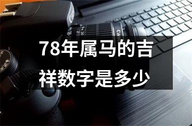 78年属马的吉祥数字是多少