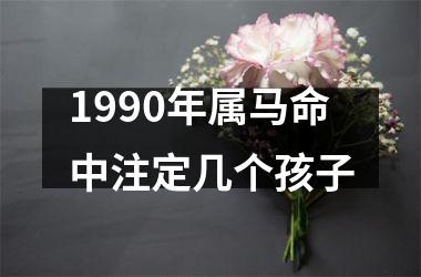 1990年属马命中注定几个孩子