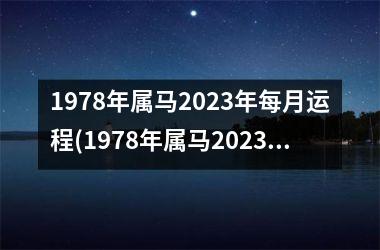 1978年属马2025年每月运程(1978年属马2025年运势及运程每月运程)