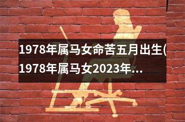 1978年属马女命苦五月出生(1978年属马女2025年运势完整版)