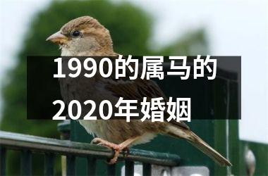 1990的属马的2025年婚姻