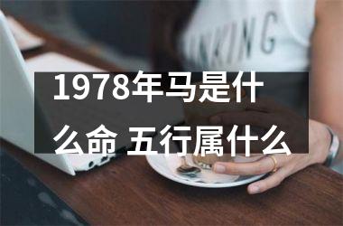 1978年马是什么命 五行属什么