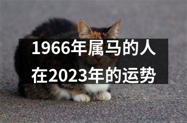 1966年属马的人在2025年的运势