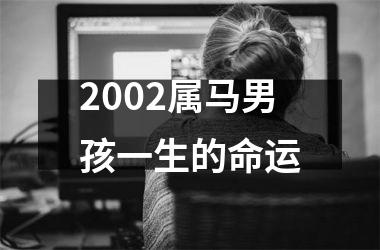 2002属马男孩一生的命运