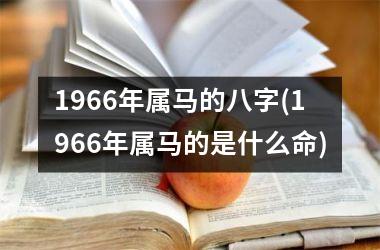 1966年属马的八字(1966年属马的是什么命)